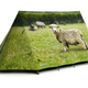 Illustration for article titled Now You Can Sleep Inside a Giant Book